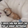 Memes con Frases #1🧠 (fg36mhnv2s)