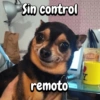 Funny Reacciones habladas  🐈🐕 (xcpv4nb3m5)