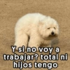 😎 Pal Grupo 🤠 (g2h3yj9qb7)