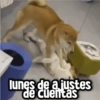 Memes con Frases #1🧠 (srqn6v72wk)