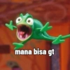 Pascal (vkp38x6dym)
