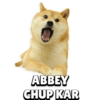 Cheems Dog (xzy3rcq86g)