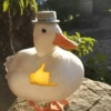 بطة بالإعجاب