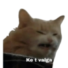 ولا يهمني