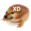 ضفدع XD