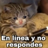 Gatitos SAD 😞 1 (r7qbtwkc3m)