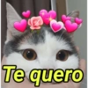 Animais fofos 333💗 (vm58phnc27)