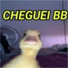 ESSAS VÃO TE AJUDAR (zyftp3kw7j)