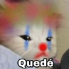 Gatitos SAD 😞 1 (64vxj32kzc)