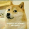 Doge hindi 2 (dpx6k9sqvy)