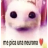 Frases de Gatos  (z65gvysx2m)