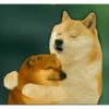 Doge hindi 2 (f3pczwjkr2)