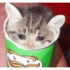 ميمز للتفاعل (cvnrbzwxty)