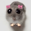 Rata triste Hámster Meme 🐹 (dk24fpnyqm)