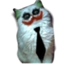 ☆funny pets (brv365wfch)