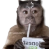 قردة لك 🐒🍌🌴 (r35vzp7bjf)