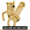 Doge hindi 2 (mdh93bgwrc)