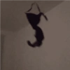 مزيد من ردود الفعل #3 👻 (d598m4jkbg)