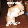 Frases de Gatos  (3yq6ms4v5h)