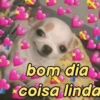 MENSAGENS DE BOM DIA (3brsjnm458)