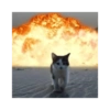 Frases de Gatos  (hfqz7mb3jn)