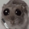 Rata triste Hámster Meme 🐹 (zjnbfkmg98)