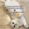 ميمز بوم بوم 18+ (wn6qh3m52x)