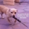 🤬Stickers Pa Pelear🥊💢 3 (sm2wkv9t4j)