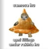 HINDI MEME (3yj8vpnc29)