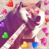 كلاب وقلوب (9wjcdxknym)