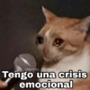 Gatitos SAD 😞 1 (cs5vtn6w8h)