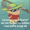 😎 Memes Suciocrippy 4 😎 (jy5tfzcrd8)