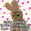 🐱🐾Mishis🐈🐈‍⬛Para Tu Crush💘😻 (zcxmq9fjsy)