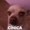 Memes essenciais 👍🏻 (kgnmv24rx6)