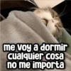 Memes con Frases #1🧠 (nwdj4svf3m)
