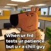 Chill Guy (yc79wh5svx)