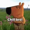 Chill Guy (vcfj5tnxqp)