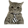 ☆funny pets (mk9j62b48n)
