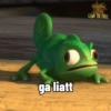 Pascal (48ykjw6sf9)