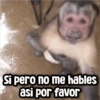 Memes con Frases #1🧠 (d32pv76x9h)