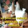 Reações + galinhas 🐔 (wnhx4k6qdv)