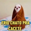 Memes de Frio | Inverno 🥶❄️ (j4pgqrtw7x)
