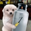 Más Animalitos!  🙊🐕 (m6sjng8qcz)