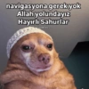 Turkısh meme's#1 (86rwjsv745)