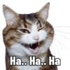 Kucing lucu (kgtx9nzpjr)