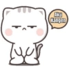 Bucin lvl. 100 (xwch3z9sqy)