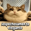 Funny Reacciones habladas  🐈🐕 (v9dg3pwz2y)
