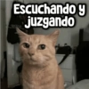 Memes con Frases #1🧠 (n27yrxkc5h)