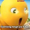 Nailong dino kuning (hkqx8bsyp2)