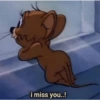 Teddy (pt8bqymh3r)